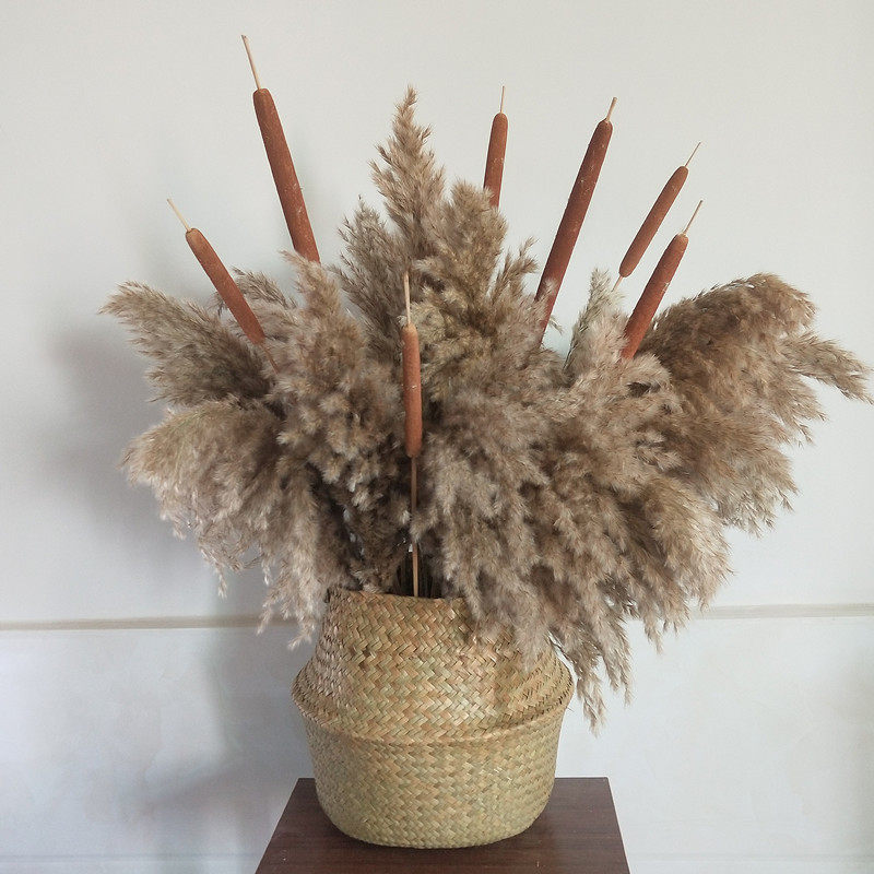 天然植物干花芦苇 北欧家居咖啡馆软装饰摆件拍照片道具文艺插花2