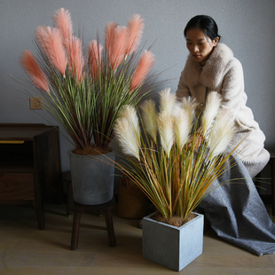 饰客厅室内摆件 芦苇草仿真花假花绿植摆设落地植物盆栽网红橱窗装