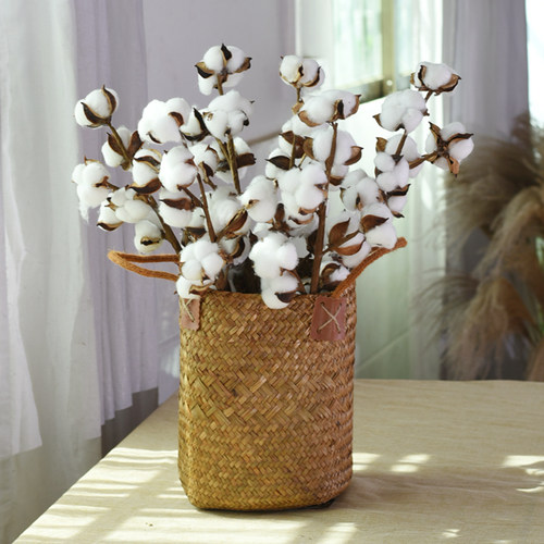 花篮棉花干花永生花客厅装饰摆件