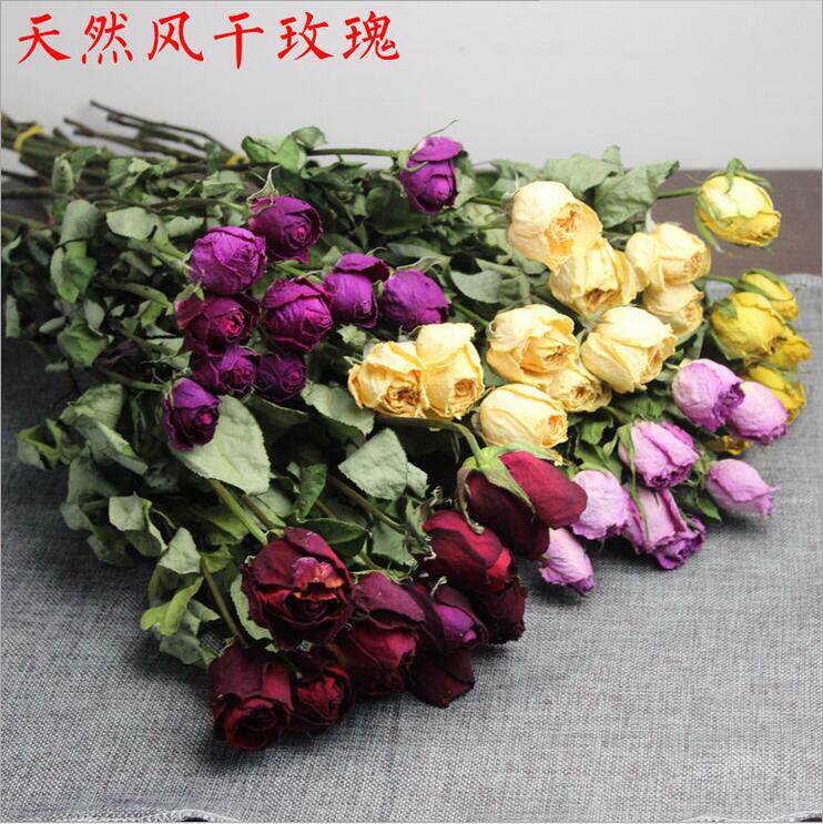 芈阳  玫瑰花干花花束云南天然真花永生花客厅装饰摆设拍摄道具