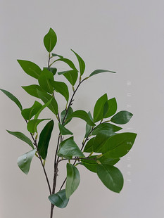 假花仿真花摆设 ins轻奢山茶树绿叶高枝花束客厅高级感插花加花瓶