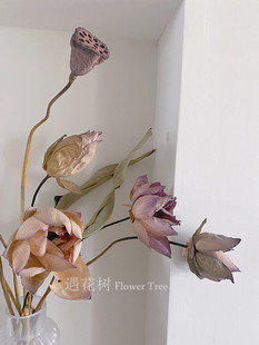 天然荷花干花花束鲜花高级感真花干荷花莲蓬摆件客厅摆设永生花