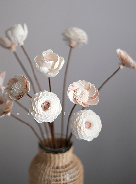 桃花大丽花干花花束客厅摆设高级感真花风干天然通草花客厅摆设