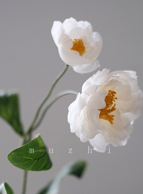 假花仿真花摆设白色小牡丹花束客厅插花绢花婚庆花艺餐桌花摆花