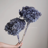 大叶绣球天然真花永生花家居装 饰客厅插花带杆干花软装 摆件