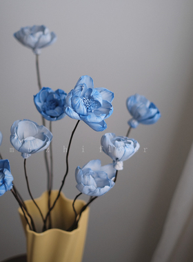 muzhi干花花束芍药仿真花通草花干花束高级感客厅蓝色牡丹永生花