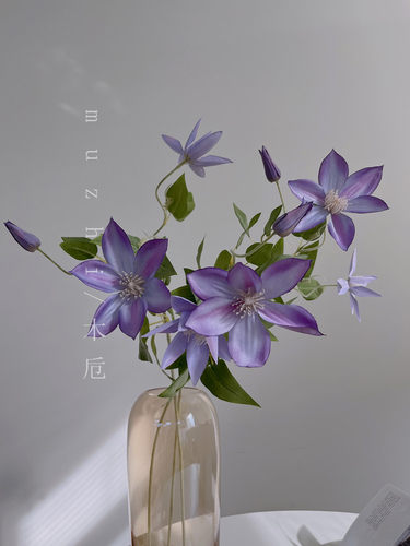 高颜值精致灵动铁线莲仿真花
