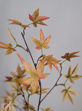 muzhi橘黄色枫叶仿真花束轻奢高端客厅摆设家居装饰花艺插花
