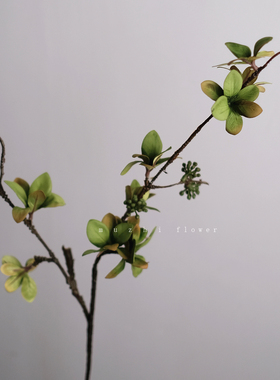 仿真花仿真果子枝芽树枝
