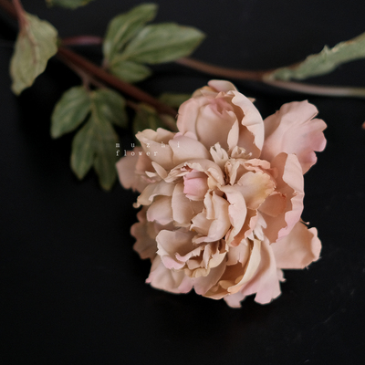 复古绝美奶绿咖芙蓉牡丹仿真花