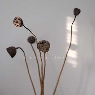 野趣真花莲蓬天然干花客厅插花干花束花艺摆件干树枝永生花装 饰