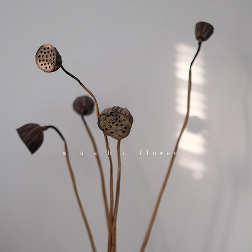野趣莲蓬干花花束客厅插花