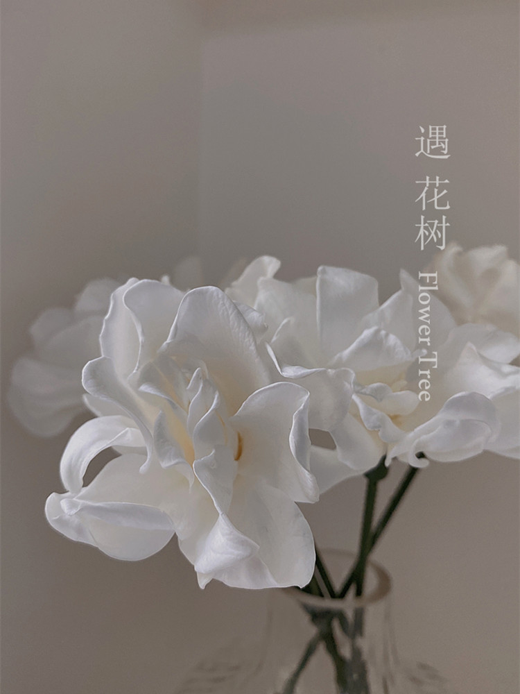 栀子花永生花真花干花插花客厅装饰摆件花瓶情人节生日礼物教师节