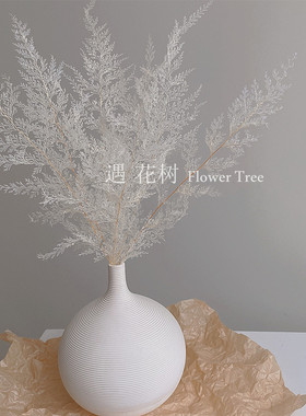 ins白色干花摆件永生花束天然真花客厅装饰简约陶瓷北欧风花瓶