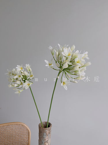 精致高颜值百子莲绢花仿真花