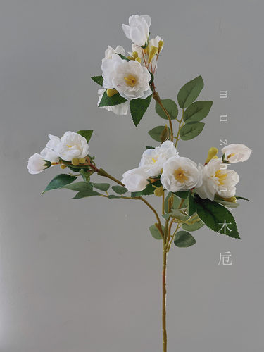 蔷薇仿真花高级婚礼雏菊