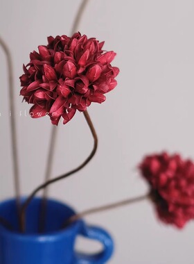 红色精致玉兰球天然干花高级感客厅插花手工花装饰花艺摆件永生花