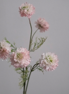 muzhi高级感逼真松虫草仿真花束轻奢客厅装饰花艺插花家居摆件