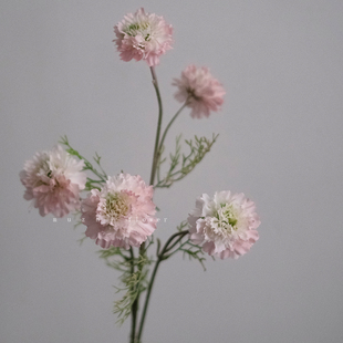 muzhi高级感逼真松虫草仿真花束轻奢客厅装 饰花艺插花家居摆件