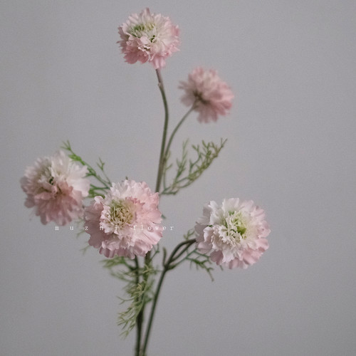 高级感逼真5头松虫草仿真花束