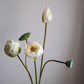 荷花仿真花高级感逼真莲蓬客厅摆件花艺插花摆设拍摄道具家居装 饰