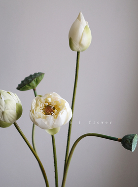 荷花仿真花高级感逼真莲蓬客厅摆件花艺插花摆设拍摄道具家居装饰