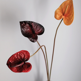 轻奢高端红掌仿真花火鹤花客厅逼真插花花艺家居装 饰永生花假花