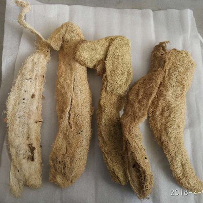 中药材丝瓜络 清洁品丝瓜刷锅刷碗 不切断有豁口原色无漂老丝瓜瓤