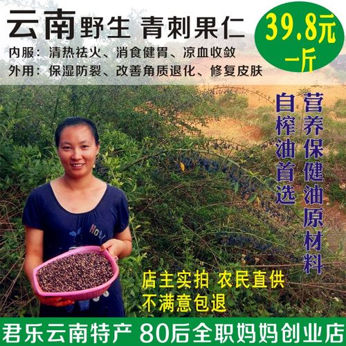 云南野生青刺果果仁果油