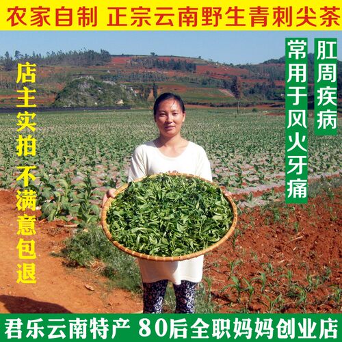云南文山农家自采野生青刺尖茶