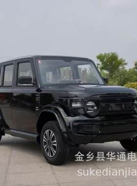 外贸出口电动四轮车2025新款家用新能源小汽车油电两用老头乐送孩
