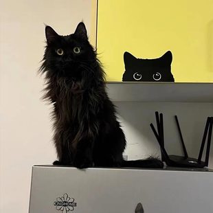 玻璃窗贴纸猫咪创意防晒半边贴纸遮挡角落装饰防水黑猫卡通门可爱