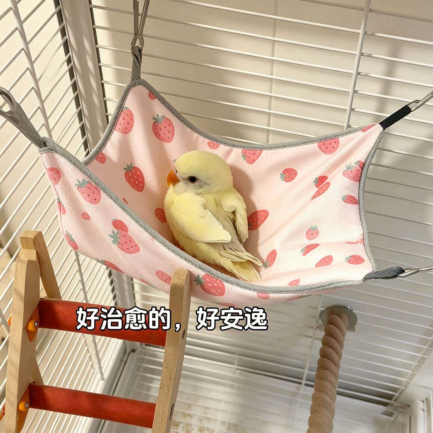 迷你吊床荷兰猪双层冰丝吊床鹦鹉鸟窝仓鼠蜜袋花枝鼠夏季清凉睡窝