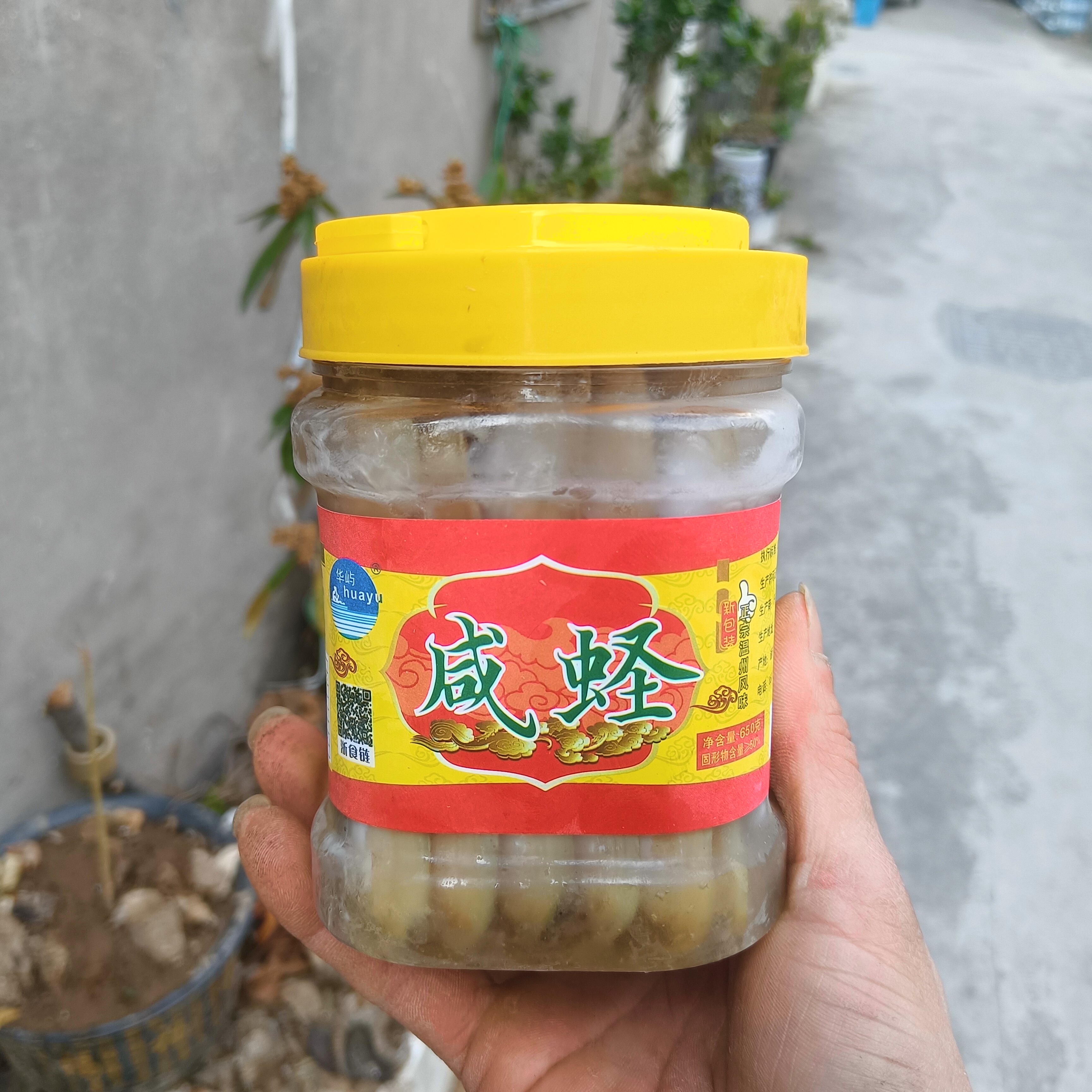 咸蛏子醉蛏子温州乐清海产即食650克瓶华南华屿