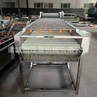 毛辊清洗机 海鲜平行式 橘子苹果毛刷清洗机 不锈钢喷淋毛辊清洗机
