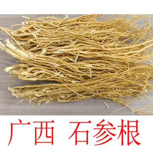 石参根 虎尾轮 客家煲汤料 五指毛桃鸡骨草牛乳树根虎尾轮根 广西