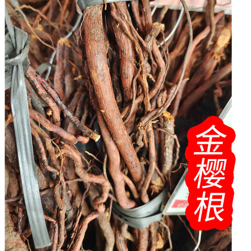 广西金樱子金樱子根野生金樱根