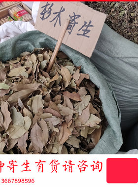 杉木寄生 另有油柑树水翁核桃树桑寄生柒木山楂树 龙眼桐油沙田柚