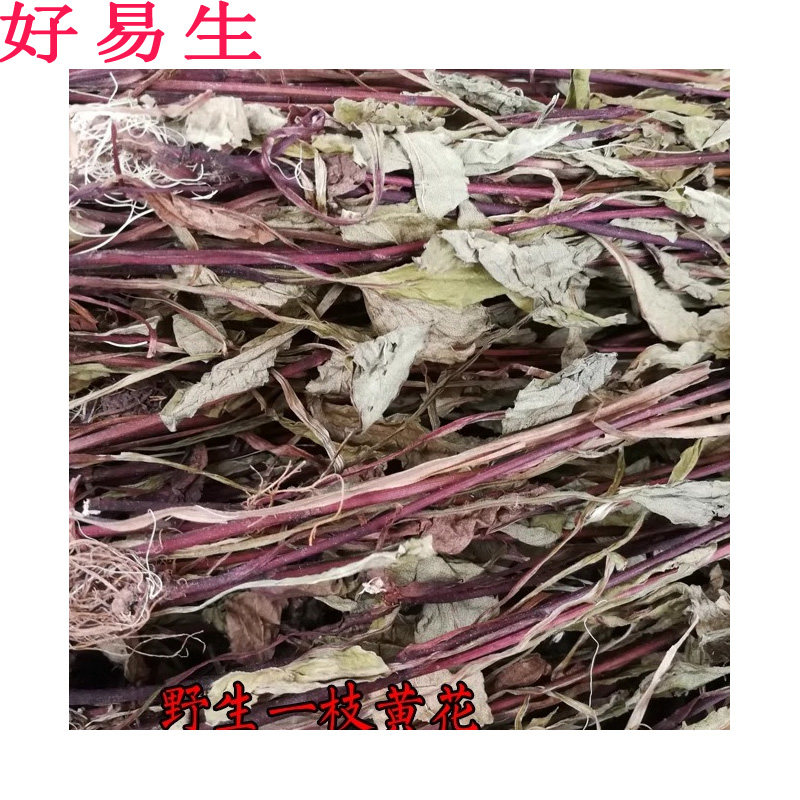 野生一枝黄花 一支黄花百根草 蛇头王 整株连根 非种植 广西食用