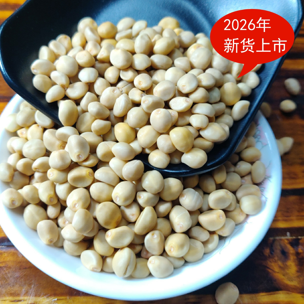 广西金丝指葫芦 贼佬豆 跌打豆 华佗扣子豆 种子可食用产品非野生