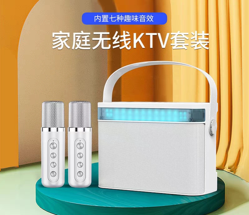 YS-224便携式无线蓝牙音响户外手提K歌双麦克风音箱话筒KTV一体机