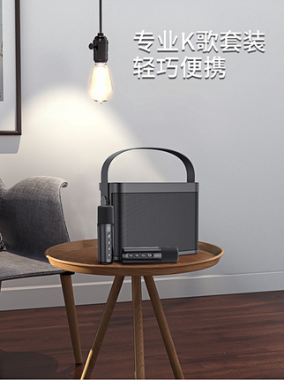 Home Wireless Ktv Set Ys219 Bluetooth Speaker Wireless Microphone Mobile Phone Karaoke Outdoor Portable