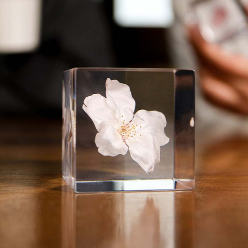 日本樱花收藏匠心手制永生花