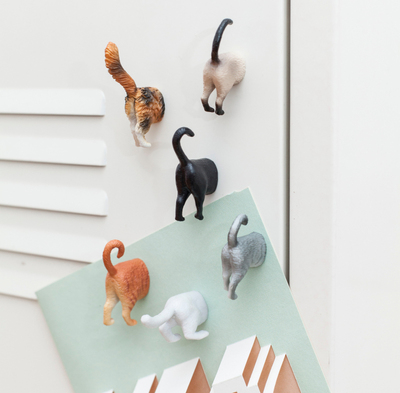 美国 Kikkerland 冰箱贴 Magnets 动物屁屁趣味冰箱贴 搞笑瑜伽猫
