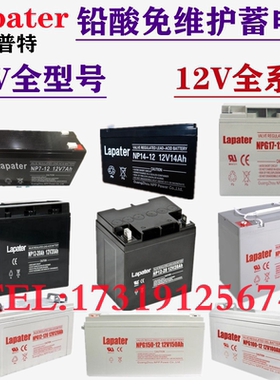 Lapater拉普特蓄电池NPG65-12 12V120/100/65/40/38/24/17/7A正品