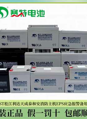 赛特BT-12M24AT消防主机备用电池7AH12AH17AH33AH38AH泰和安海湾