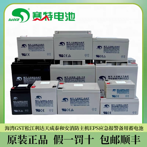 赛特BT-12M24AT消防主机备用电池7AH12AH17AH33AH38AH泰和安海湾