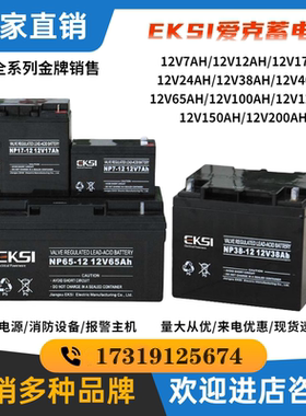 EKSI爱克赛蓄电池17AH38AH40AH65AH100AH120AH直流屏UPS/NP24-12