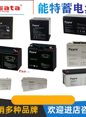 neata能特蓄电池NT12V7AH9AH12AH14AH17A24A28A38A40A65A100A消防