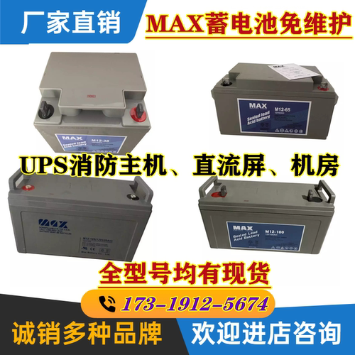 MAX蓄电池12V7A20A24A33A38A40A55A65A100A150A200AH消防通讯机房